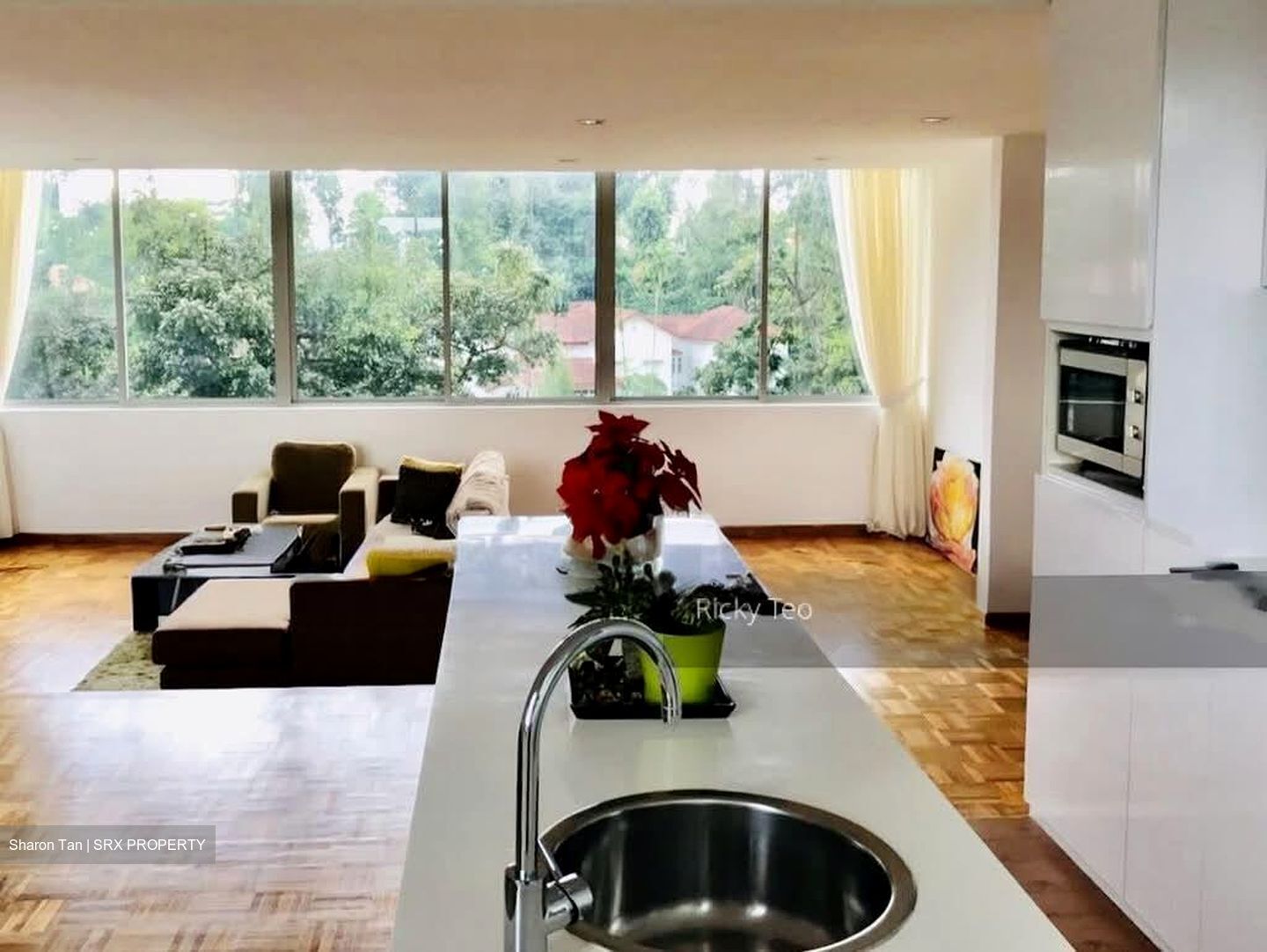 Nassim Regency (D10), Condominium #576834271